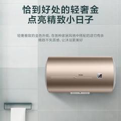海尔 EC5001-DA1 电热水器家用储水式卫生间洗澡专利防电墙小户型租房优选 EC5001-DA1  50升